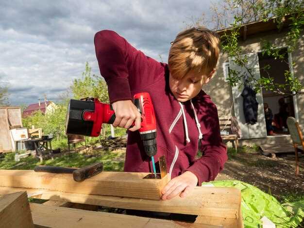 Evaluating Time and Quality of Repairs by Professionals